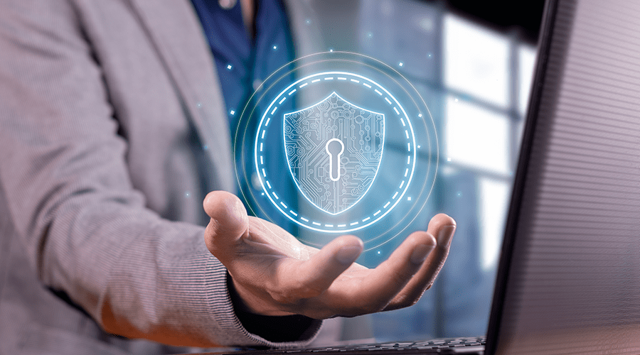 que-es-la-proteccion-de-privacidad-de-dominio